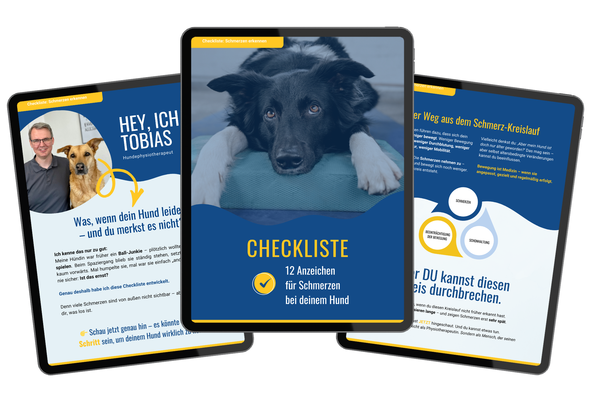 Checkliste: Schmerzen beim Hund