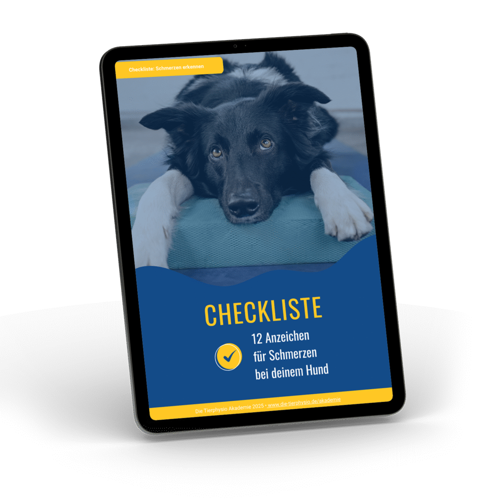 Checkliste Schmerzen beim Hund