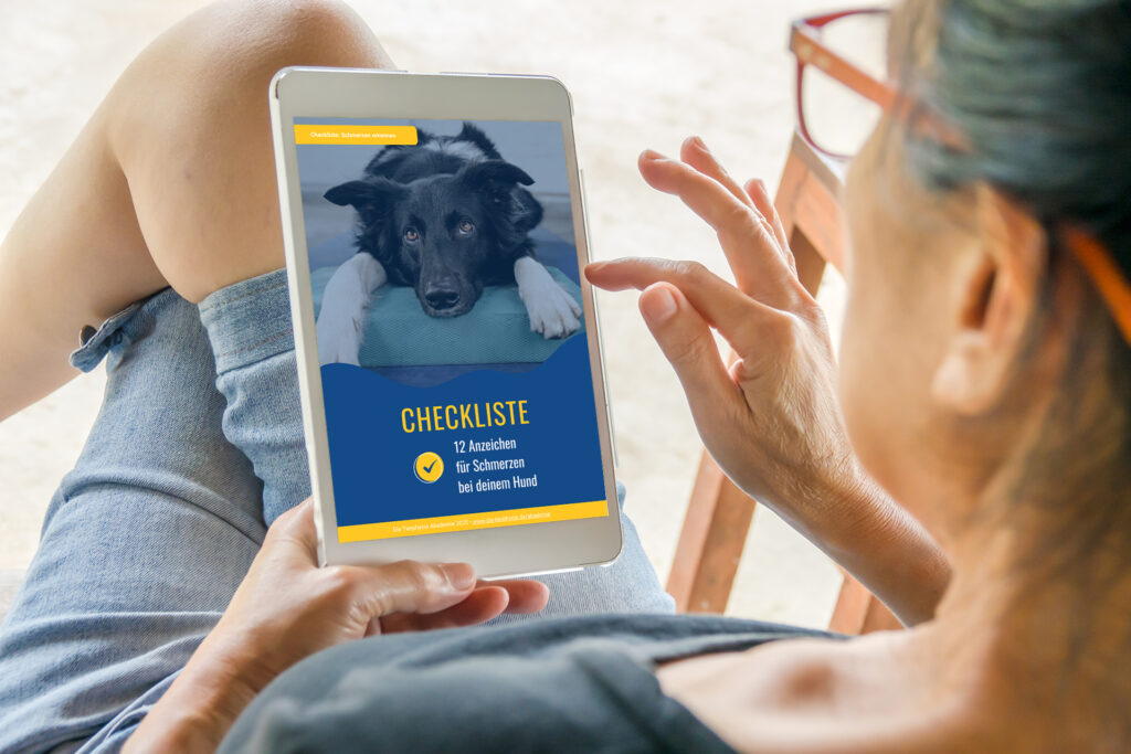 Checkliste: Schmerzen beim Hund