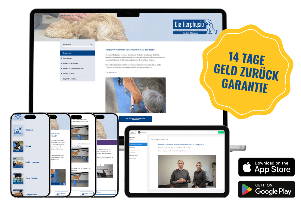 AKAD_WEB_Mockup-Fitness_13082025