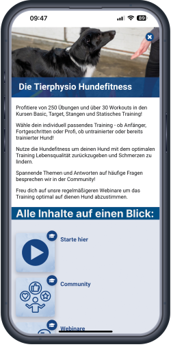 HundefitnessApp_Mockup_online HundefitnessApp_Mockup_online
